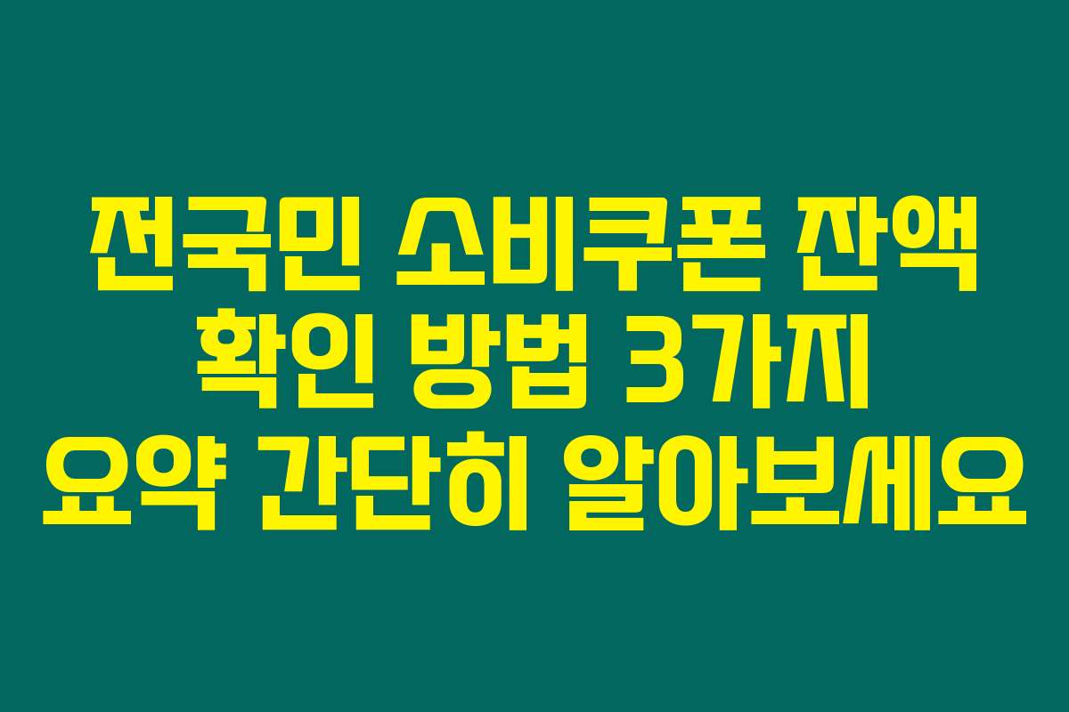 전국민 소비쿠폰 잔액 확인 방법 3가지 요약 간단히 알아보세요