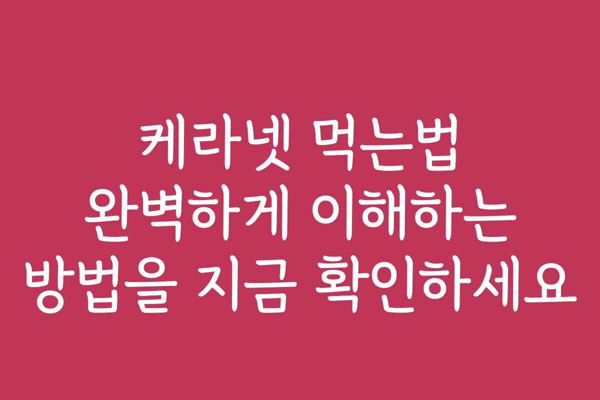 케라넷 먹는법 완벽하게 이해하는 방법을 지금 확인하세요
