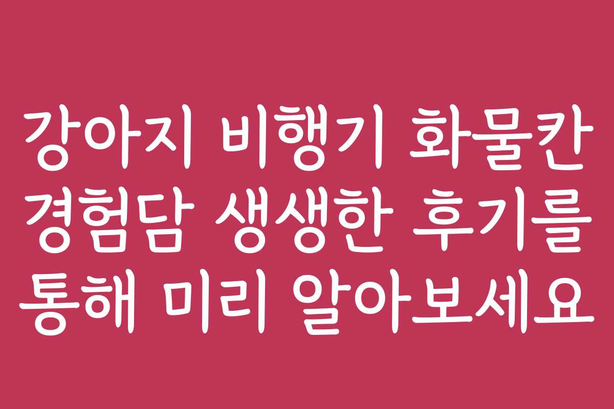 강아지 비행기 화물칸 경험담 생생한 후기를 통해 미리 알아보세요