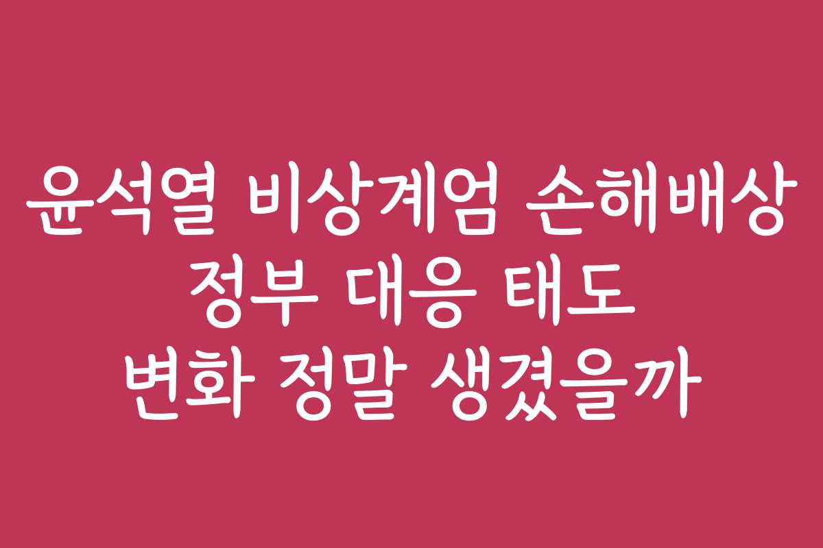 윤석열 비상계엄 손해배상 정부 대응 태도 변화 정말 생겼을까