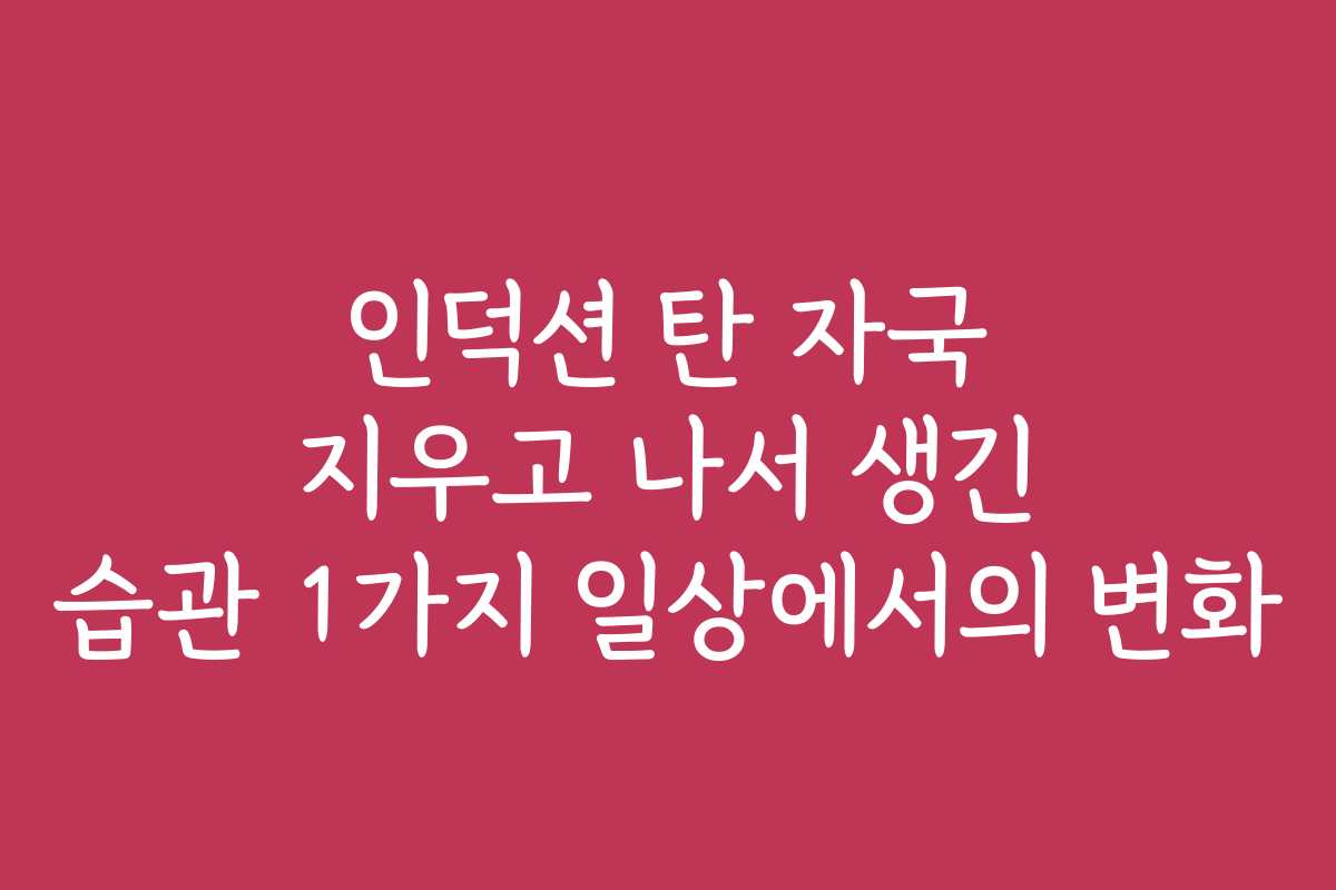 인덕션 탄 자국 지우고 나서 생긴 습관 1가지 일상에서의 변화