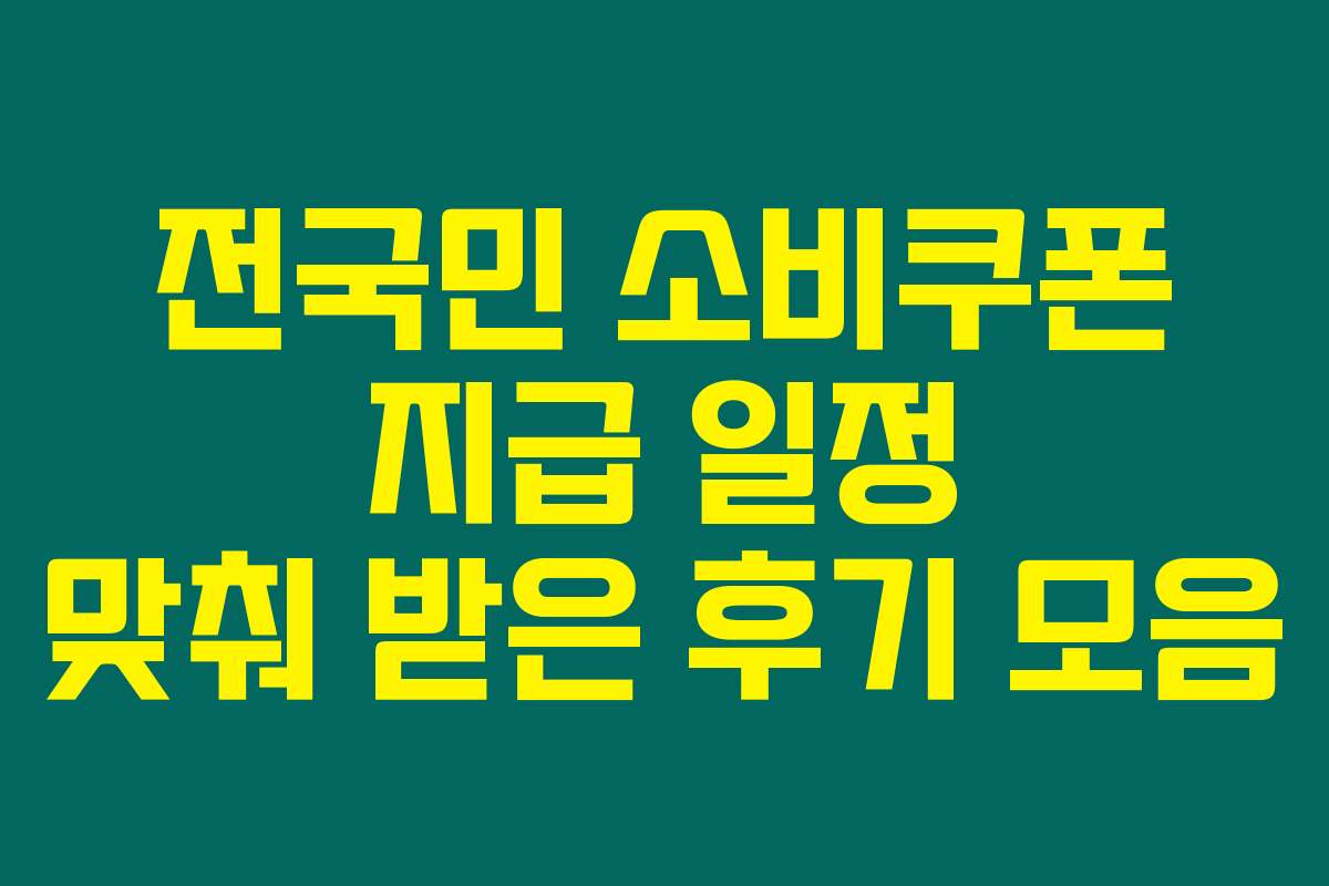 전국민 소비쿠폰 지급 일정 맞춰 받은 후기 모음