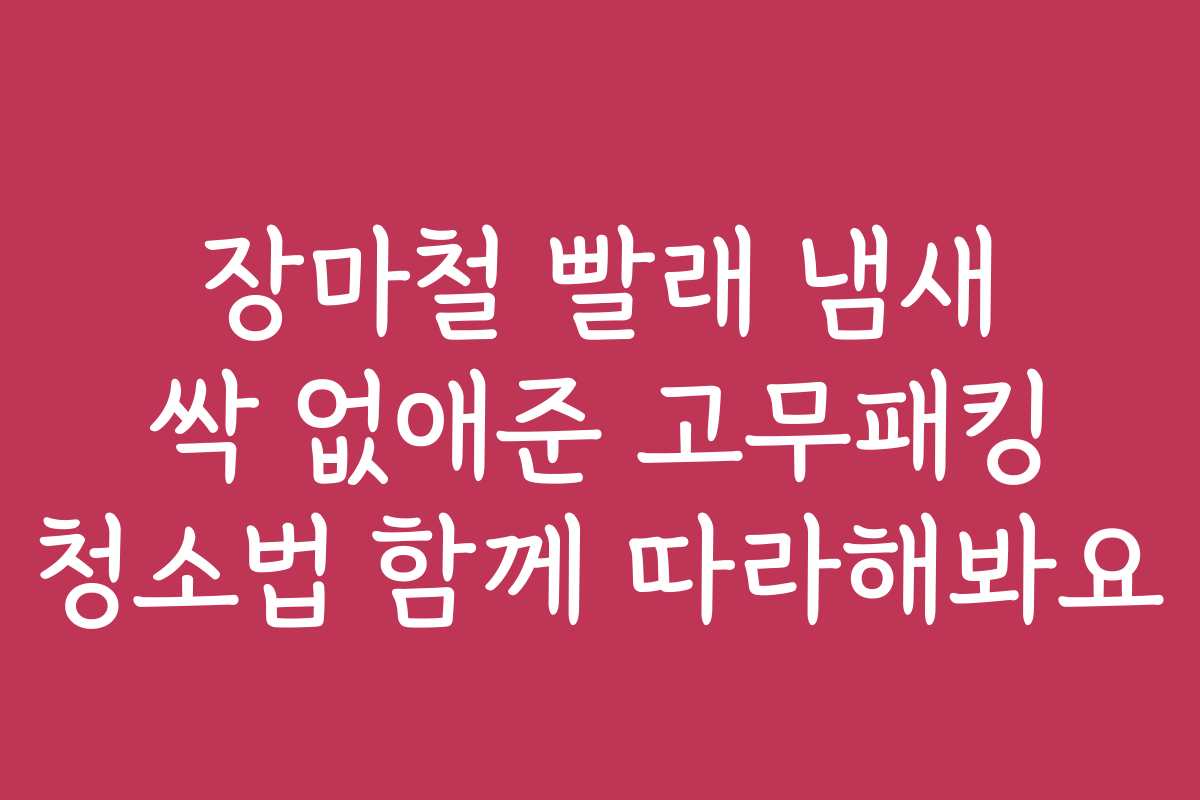 장마철 빨래 냄새 싹 없애준 고무패킹 청소법 함께 따라해봐요