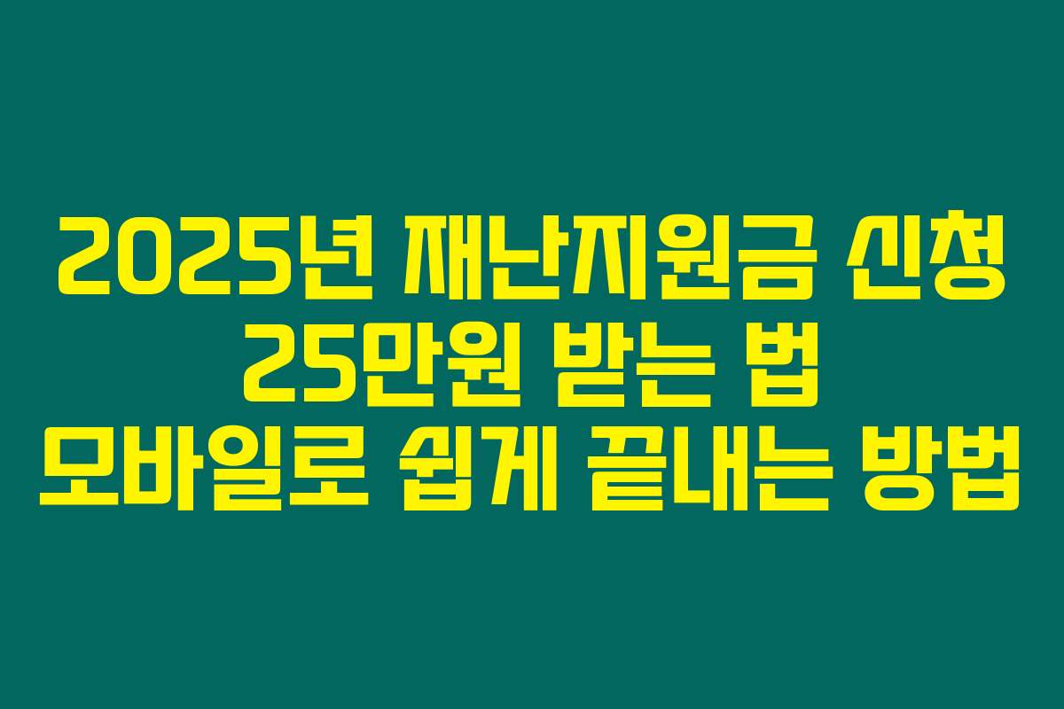 2025년 재난지원금 신청 25만원 받는 법 모바일로 쉽게 끝내는 방법