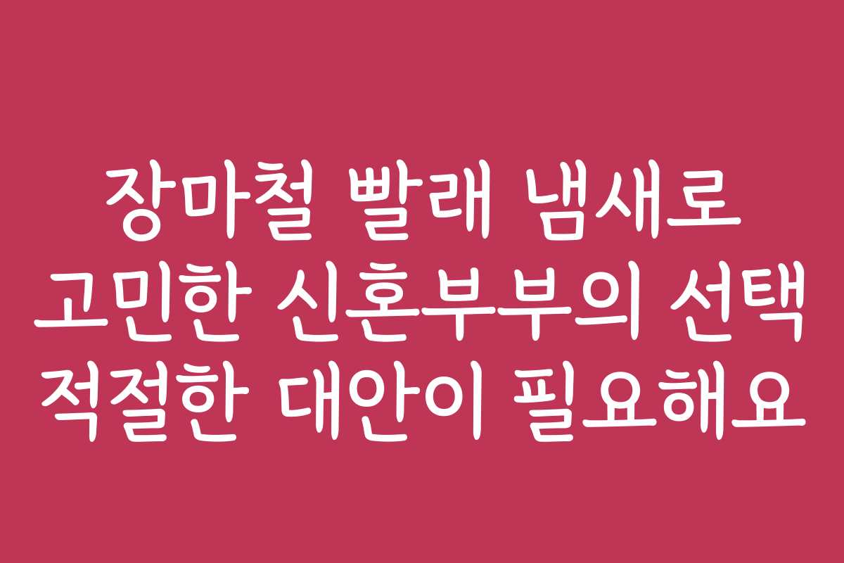 장마철 빨래 냄새로 고민한 신혼부부의 선택 적절한 대안이 필요해요