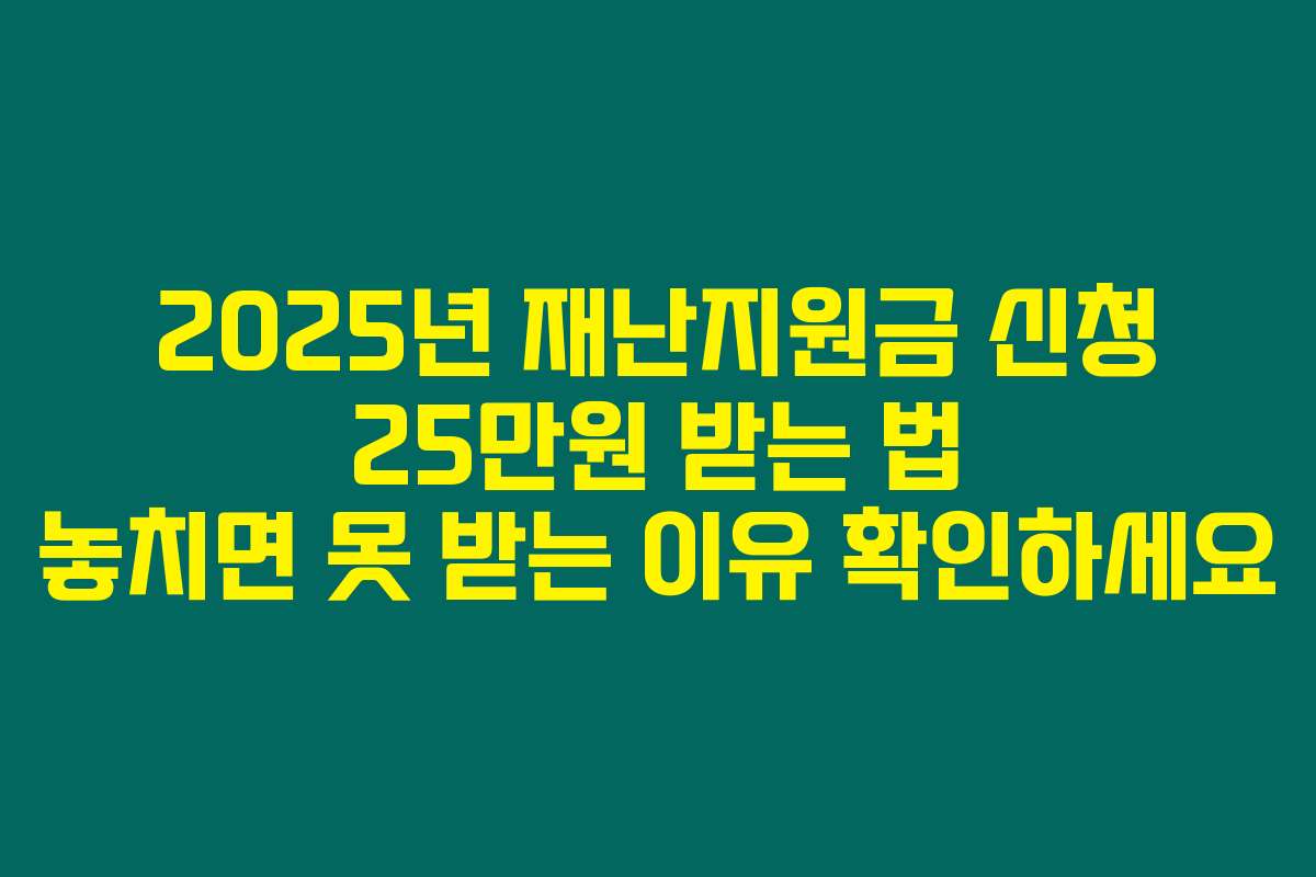 2025년 재난지원금 신청 25만원 받는 법 놓치면 못 받는 이유 확인하세요