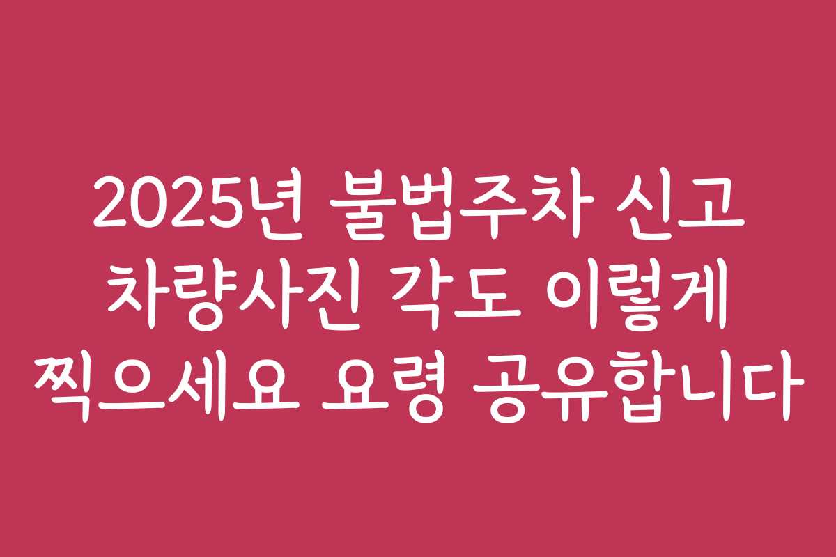 2025년 불법주차 신고 차량사진 각도 이렇게 찍으세요 요령 공유합니다