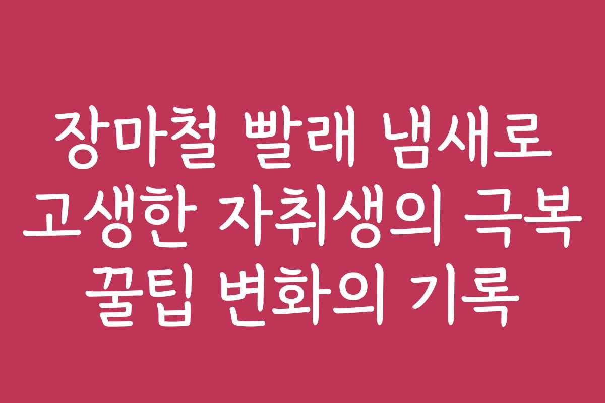 장마철 빨래 냄새로 고생한 자취생의 극복 꿀팁 변화의 기록