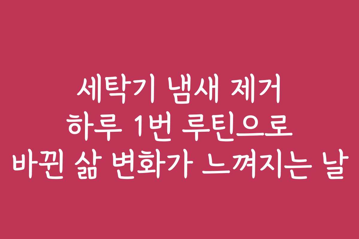 세탁기 냄새 제거 하루 1번 루틴으로 바뀐 삶 변화가 느껴지는 날
