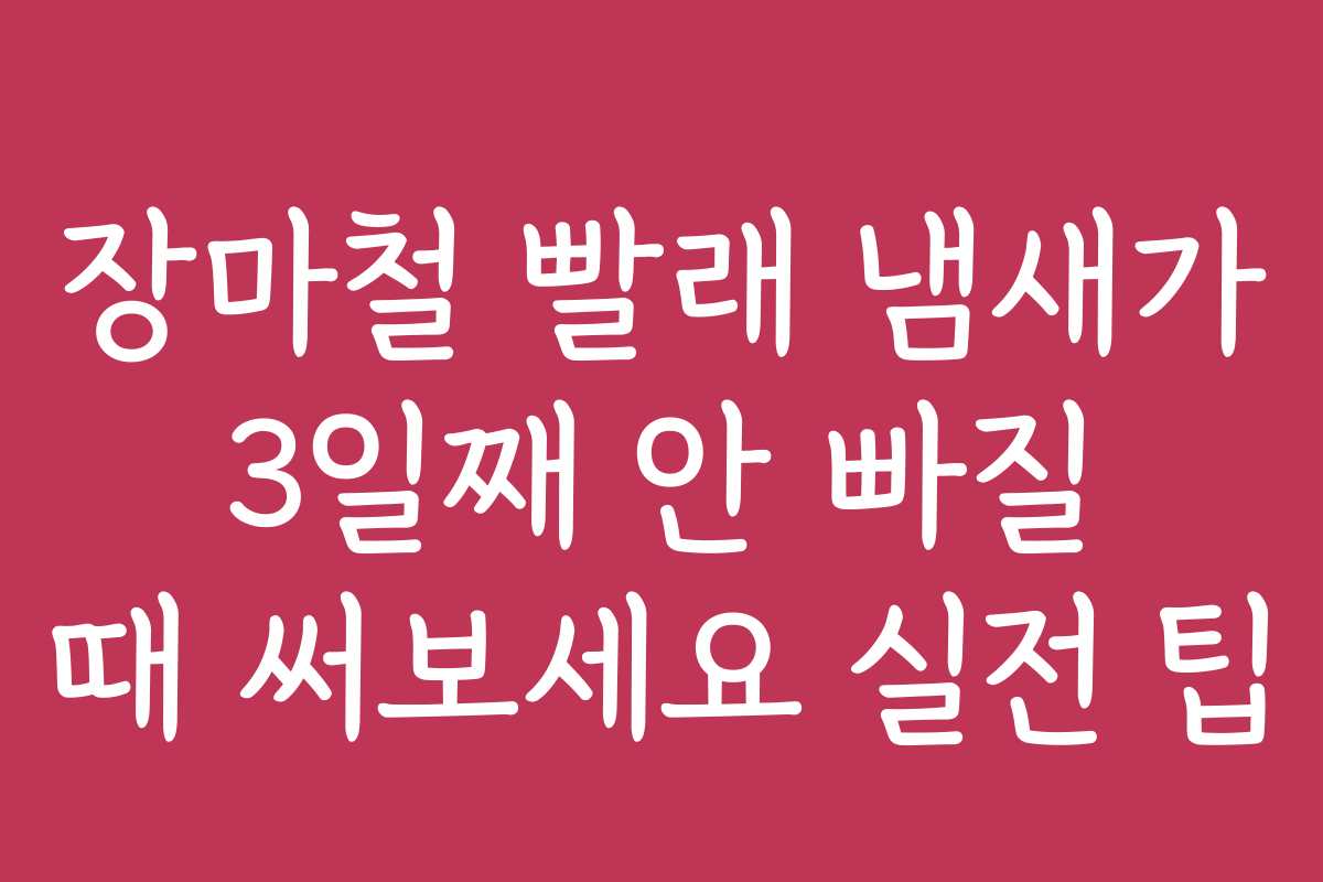 장마철 빨래 냄새가 3일째 안 빠질 때 써보세요 실전 팁