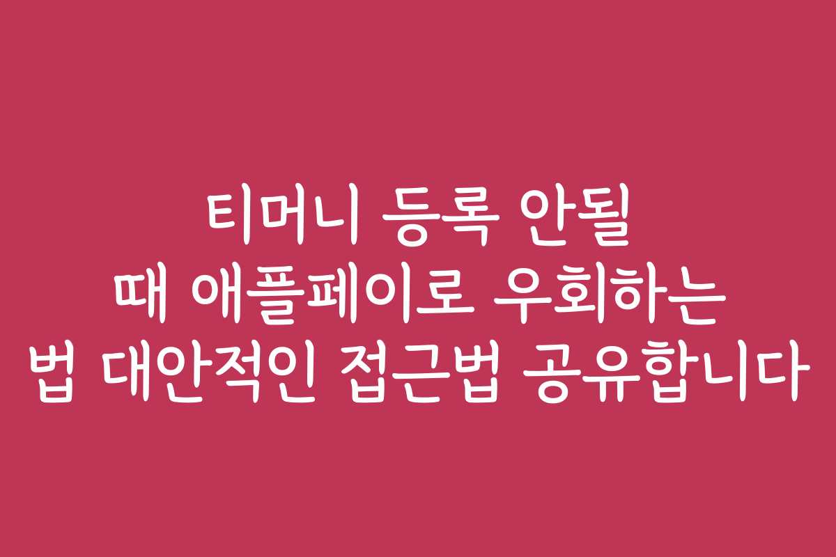 티머니 등록 안될 때 애플페이로 우회하는 법 대안적인 접근법 공유합니다