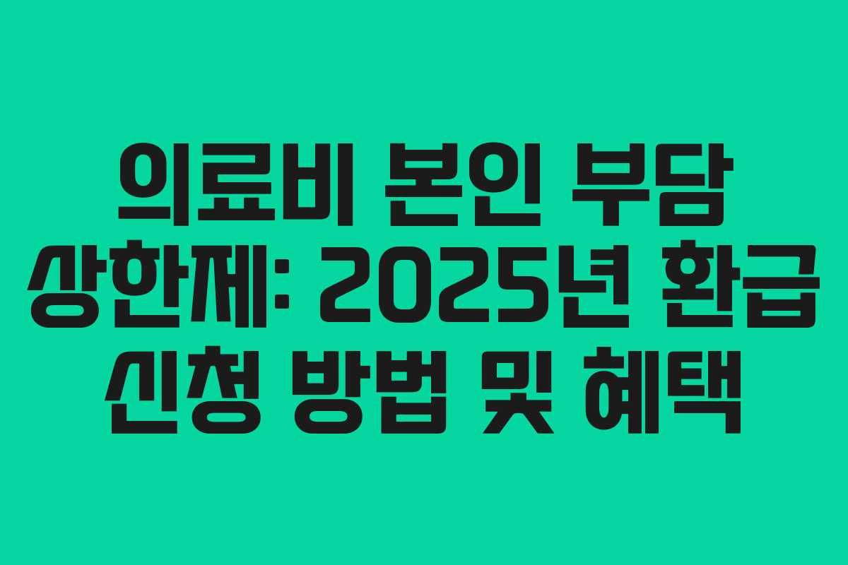 의료비 본인 부담 상한제: 2025년 환급 신청 방법 및 혜택