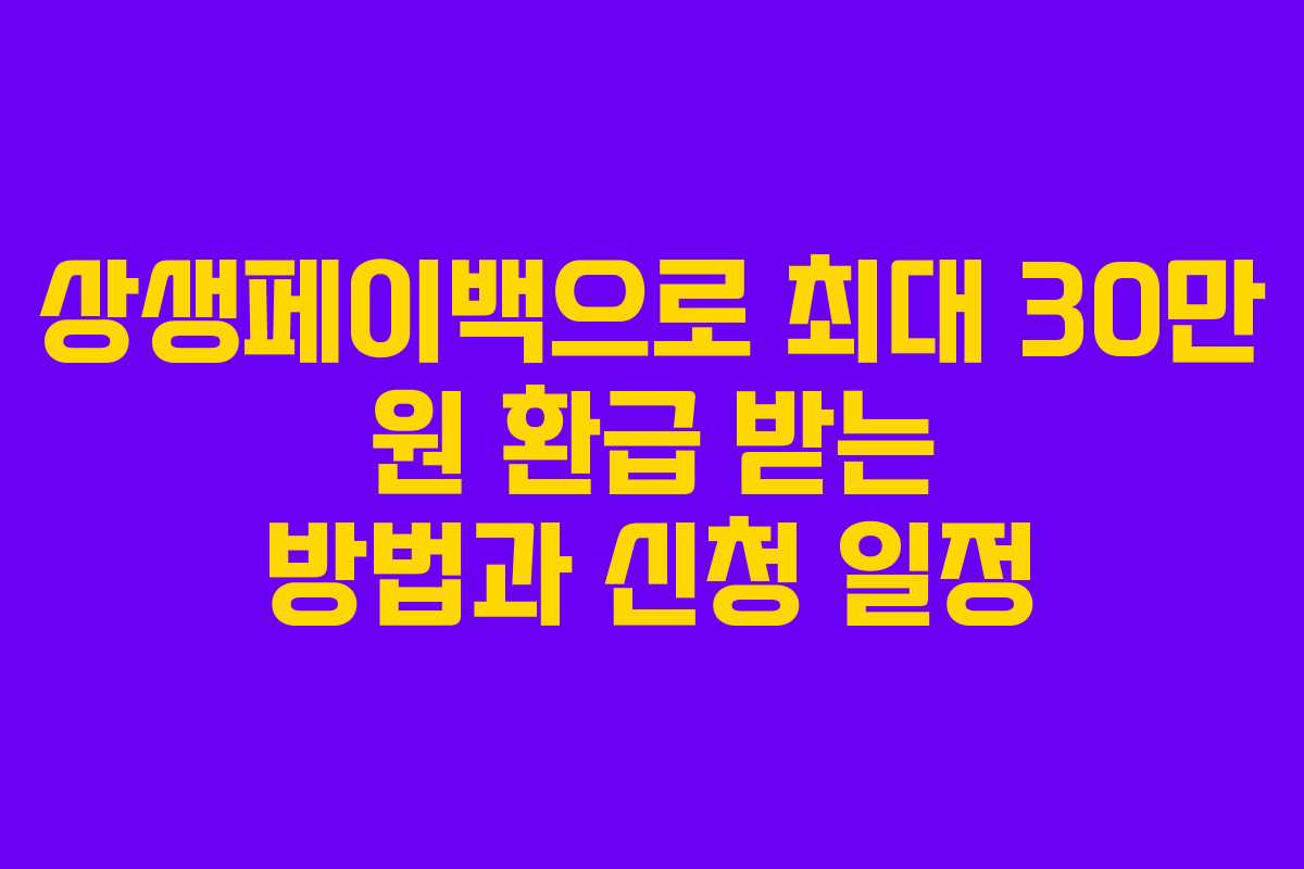 상생페이백으로 최대 30만 원 환급 받는 방법과 신청 일정