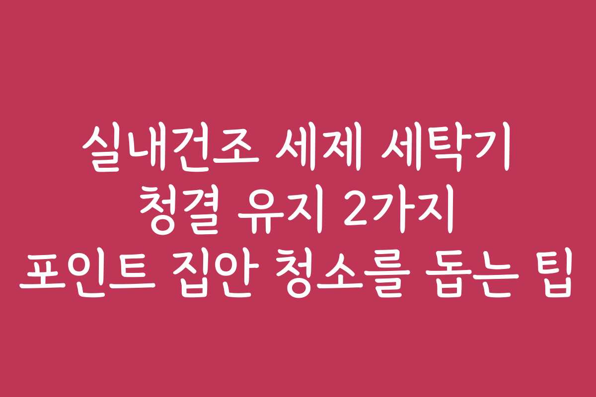 실내건조 세제 세탁기 청결 유지 2가지 포인트 집안 청소를 돕는 팁