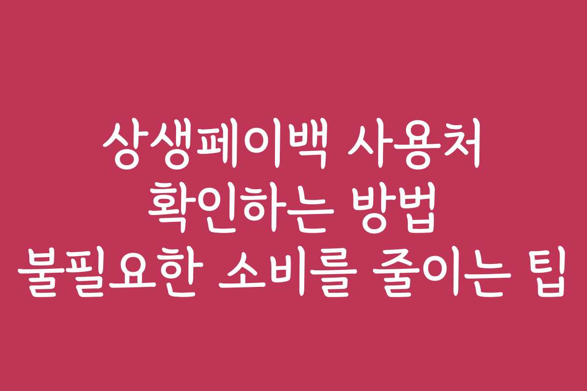 상생페이백 사용처 확인하는 방법 불필요한 소비를 줄이는 팁