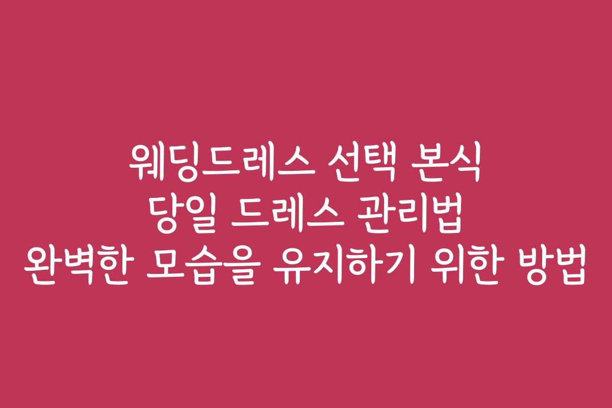 웨딩드레스 선택 본식 당일 드레스 관리법 완벽한 모습을 유지하기 위한 방법