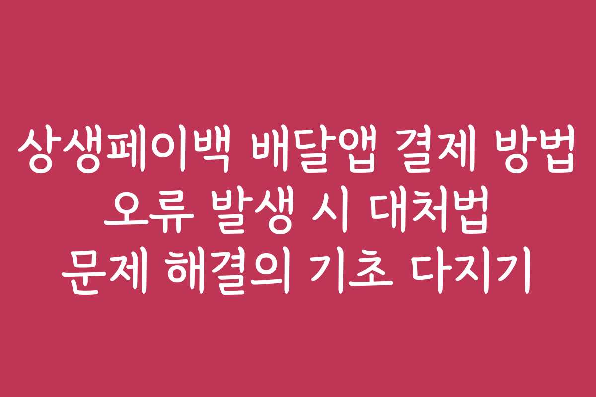 상생페이백 배달앱 결제 방법 오류 발생 시 대처법 문제 해결의 기초 다지기