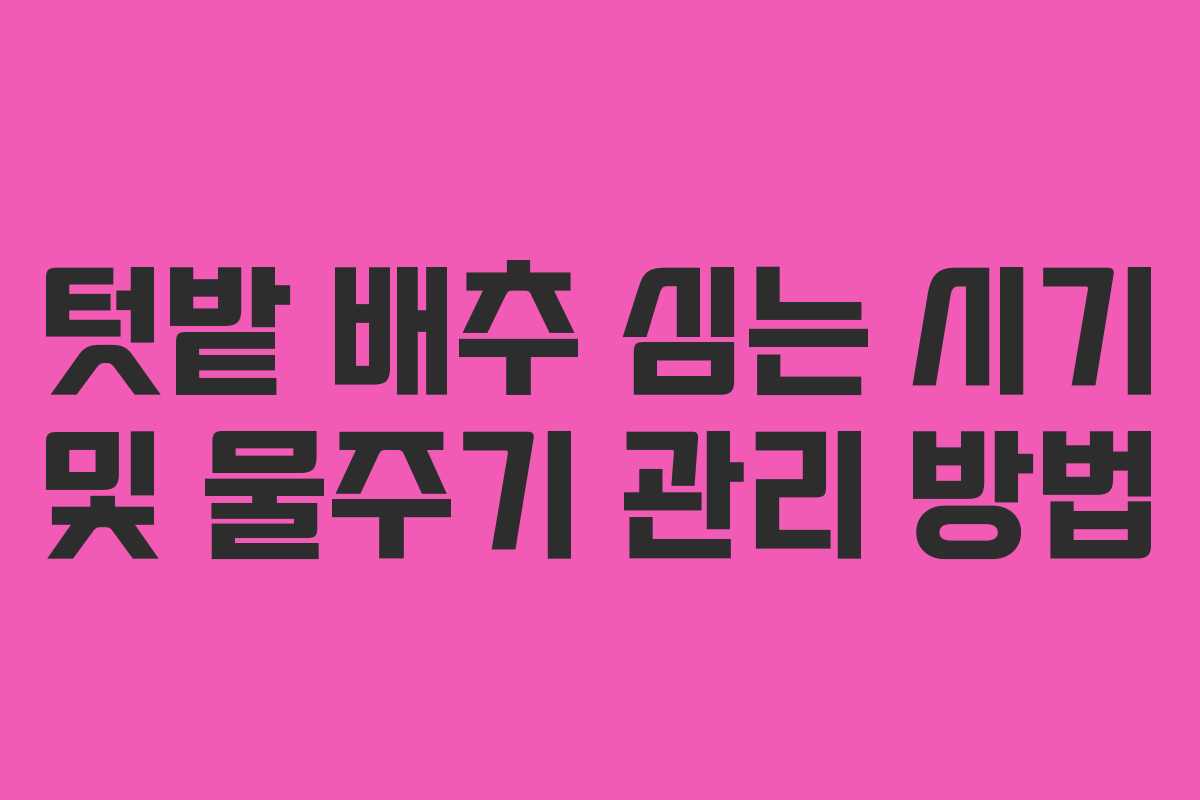 텃밭 배추 심는 시기 및 물주기 관리 방법