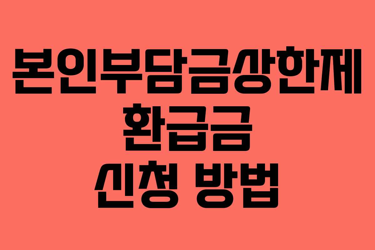 본인부담금상한제 환급금 신청 방법