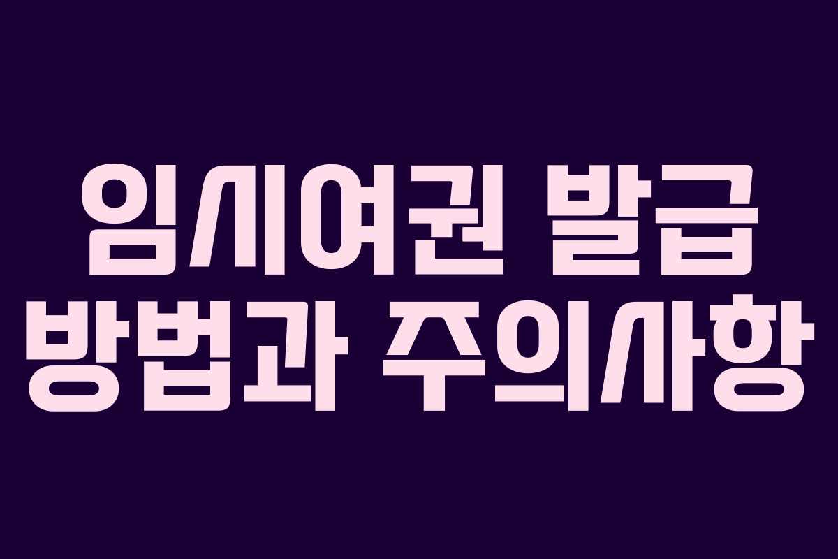 임시여권 발급 방법과 주의사항