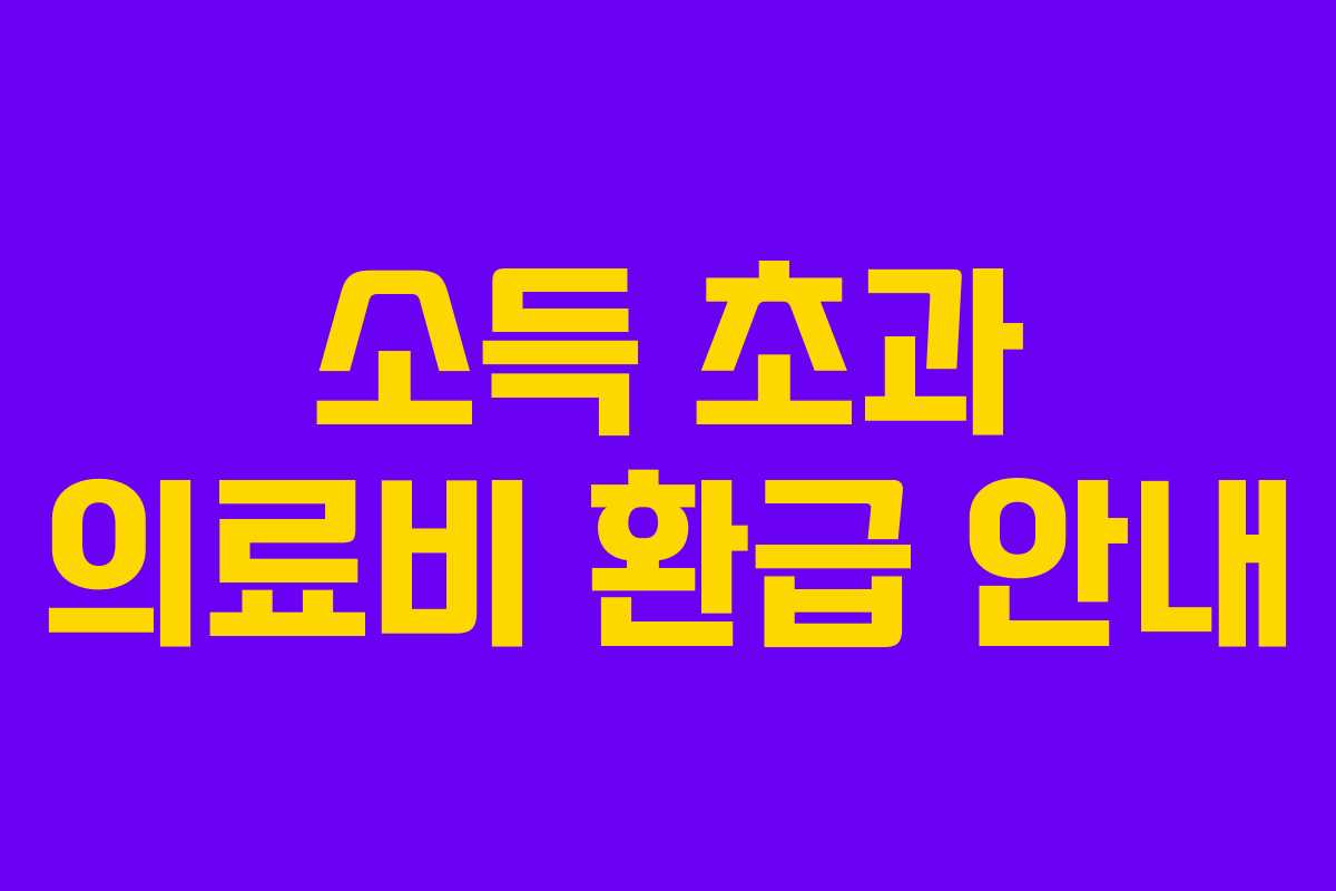 소득 초과 의료비 환급 안내