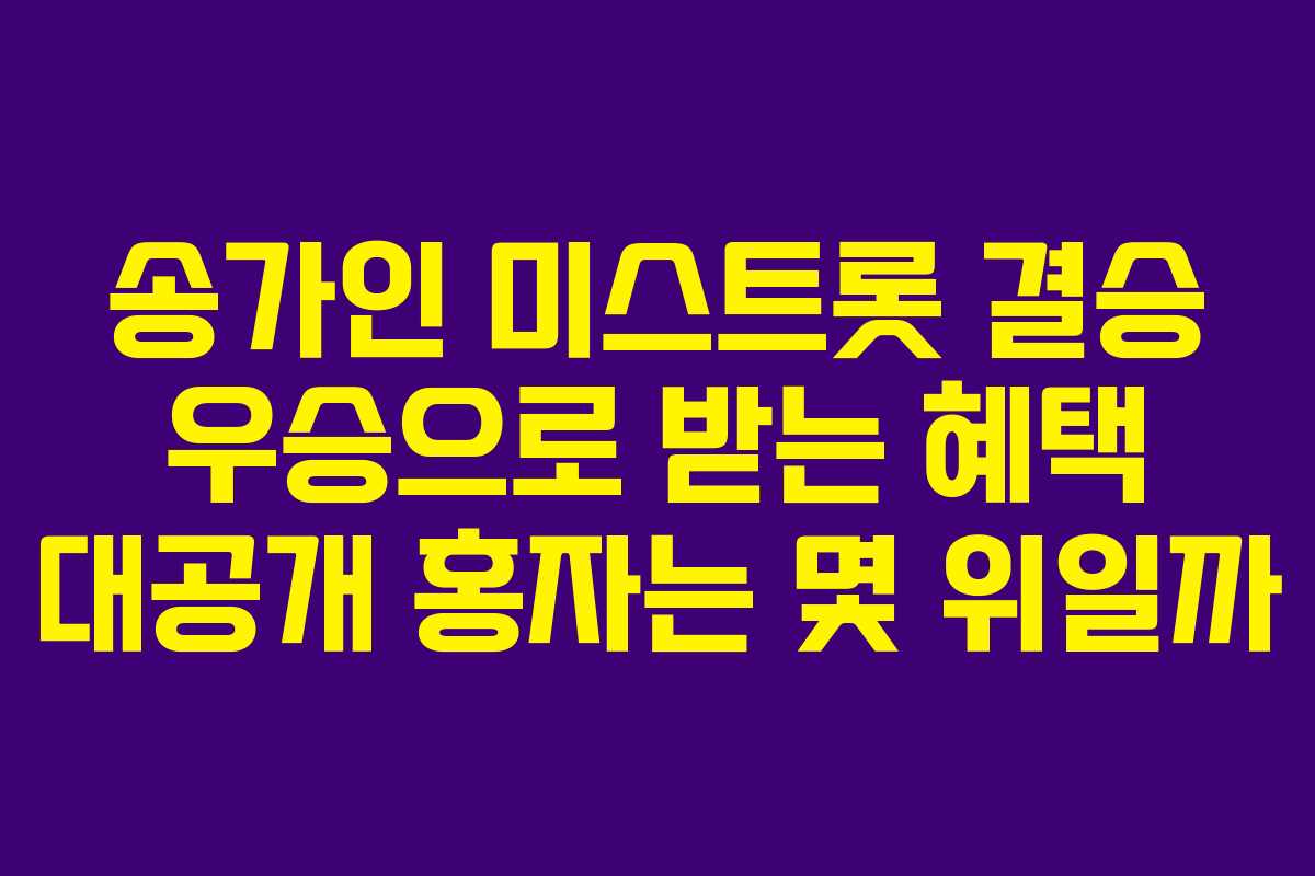 송가인 미스트롯 결승 우승으로 받는 혜택 대공개 홍자는 몇 위일까
