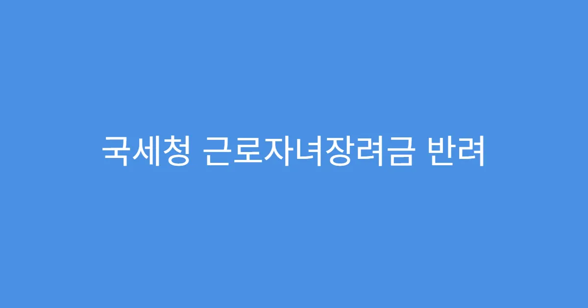 국세청 근로자녀장려금 반려 사유와 대응법