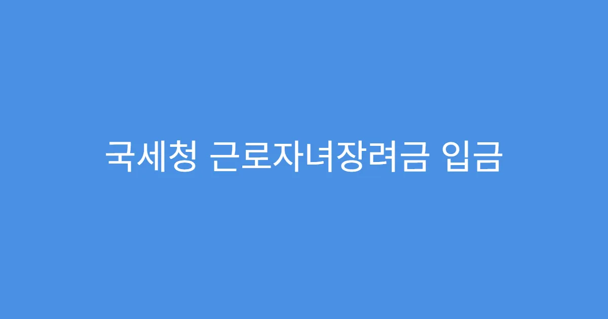 국세청 근로자녀장려금 입금 지연되는 이유