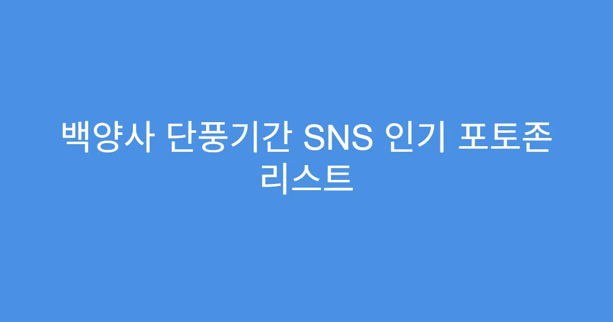 백양사 단풍기간 SNS 인기 포토존 리스트