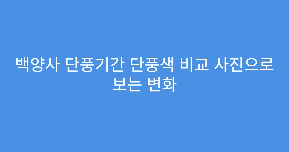 백양사 단풍기간 단풍색 비교 사진으로 보는 변화