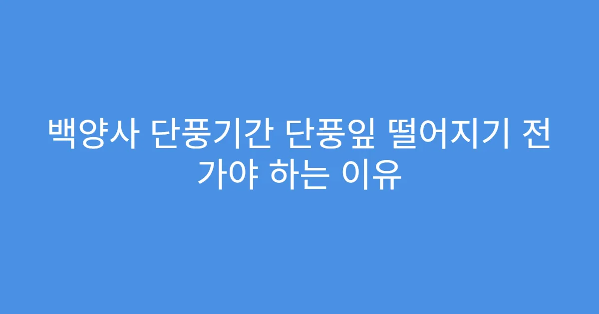 백양사 단풍기간 단풍잎 떨어지기 전 가야 하는 이유