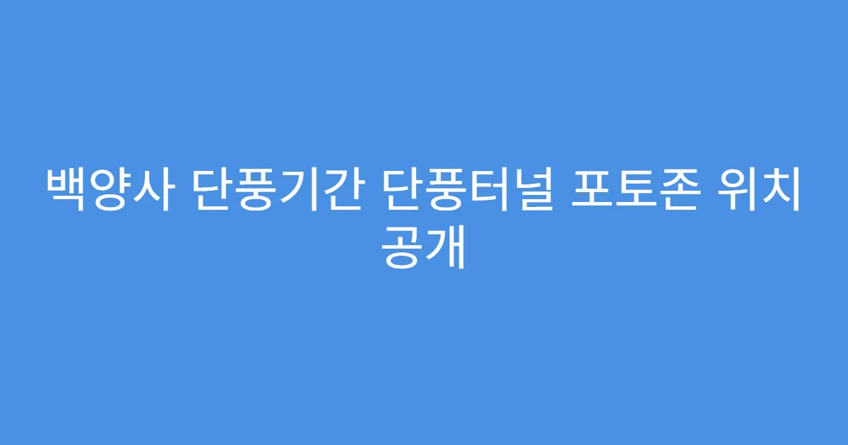 백양사 단풍기간 단풍터널 포토존 위치 공개