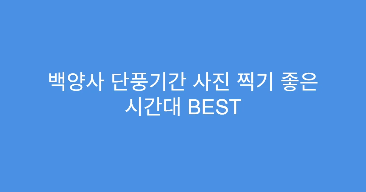 백양사 단풍기간 사진 찍기 좋은 시간대 BEST