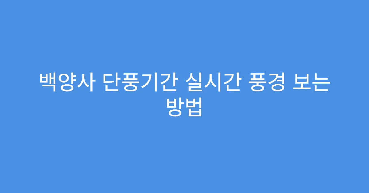 백양사 단풍기간 실시간 풍경 보는 방법