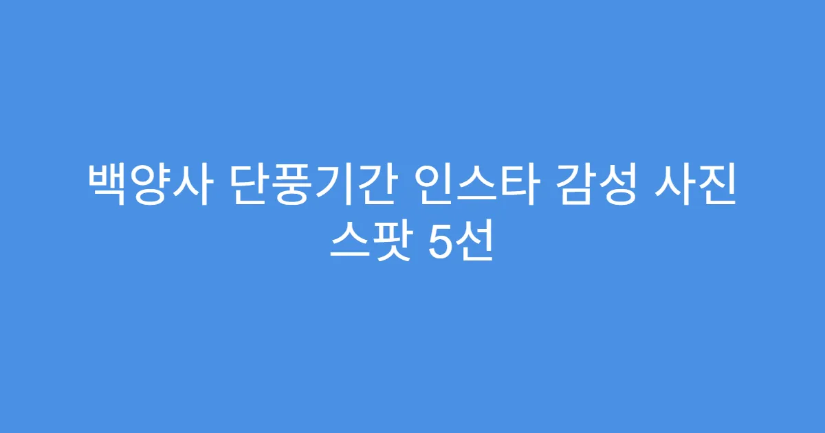 백양사 단풍기간 인스타 감성 사진 스팟 5선
