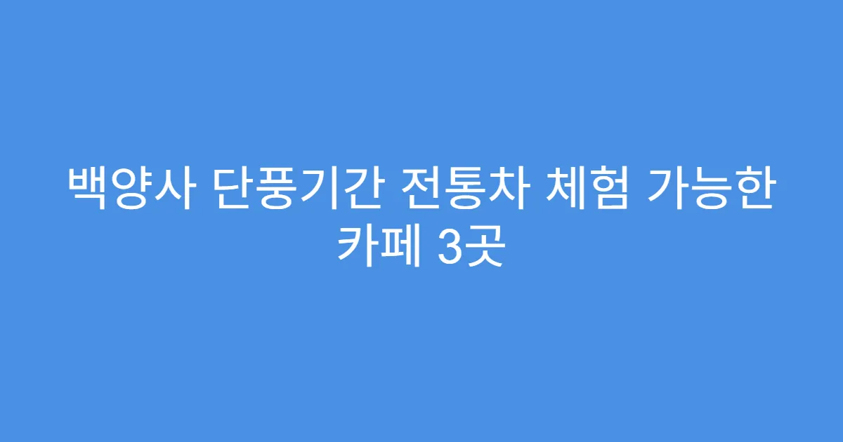 백양사 단풍기간 전통차 체험 가능한 카페 3곳