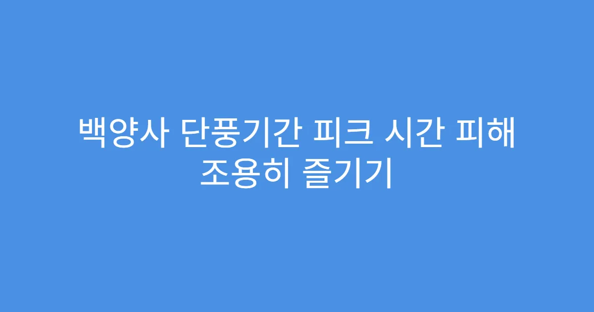 백양사 단풍기간 피크 시간 피해 조용히 즐기기