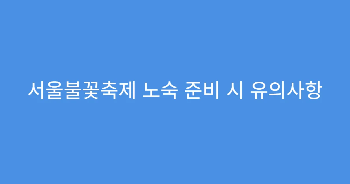 서울불꽃축제 노숙 준비 시 유의사항