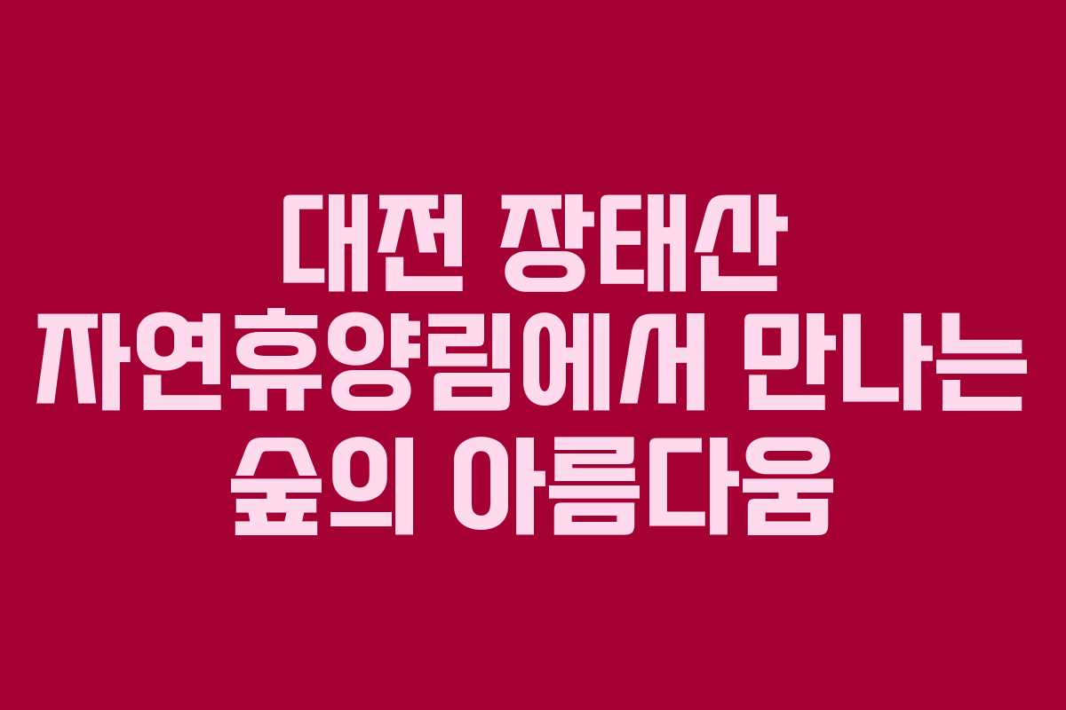 대전 장태산 자연휴양림에서 만나는 숲의 아름다움