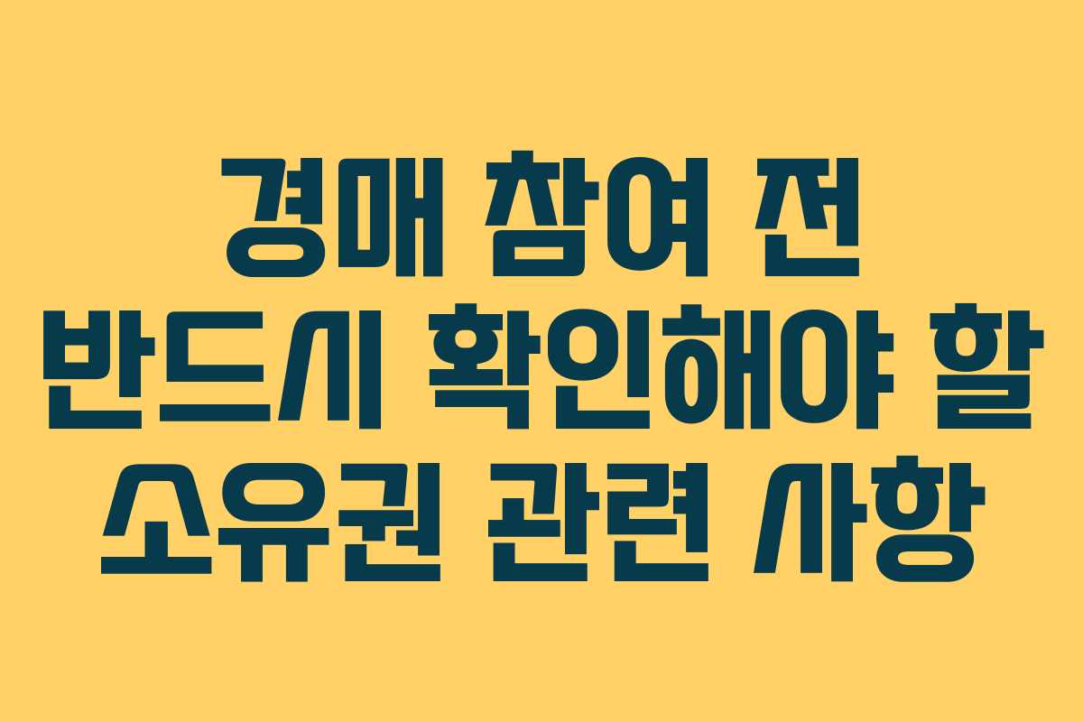 경매 참여 전 반드시 확인해야 할 소유권 관련 사항