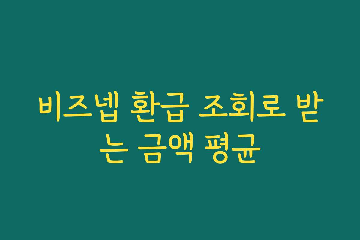 비즈넵 환급 조회로 받는 금액 평균