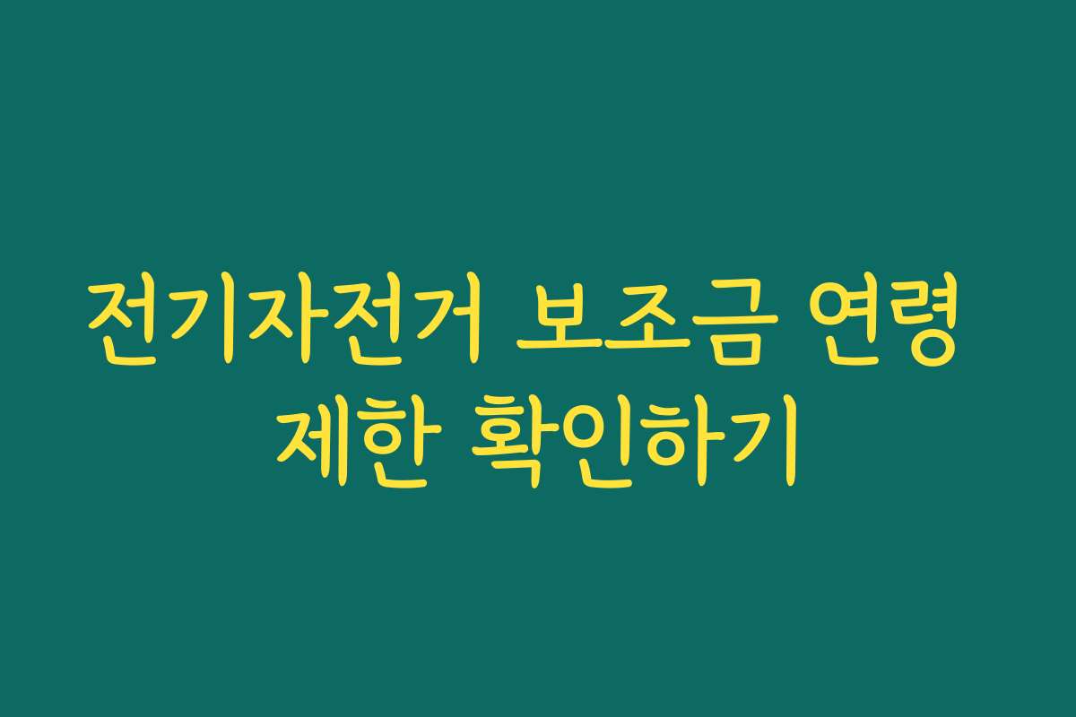 전기자전거 보조금 연령 제한 확인하기