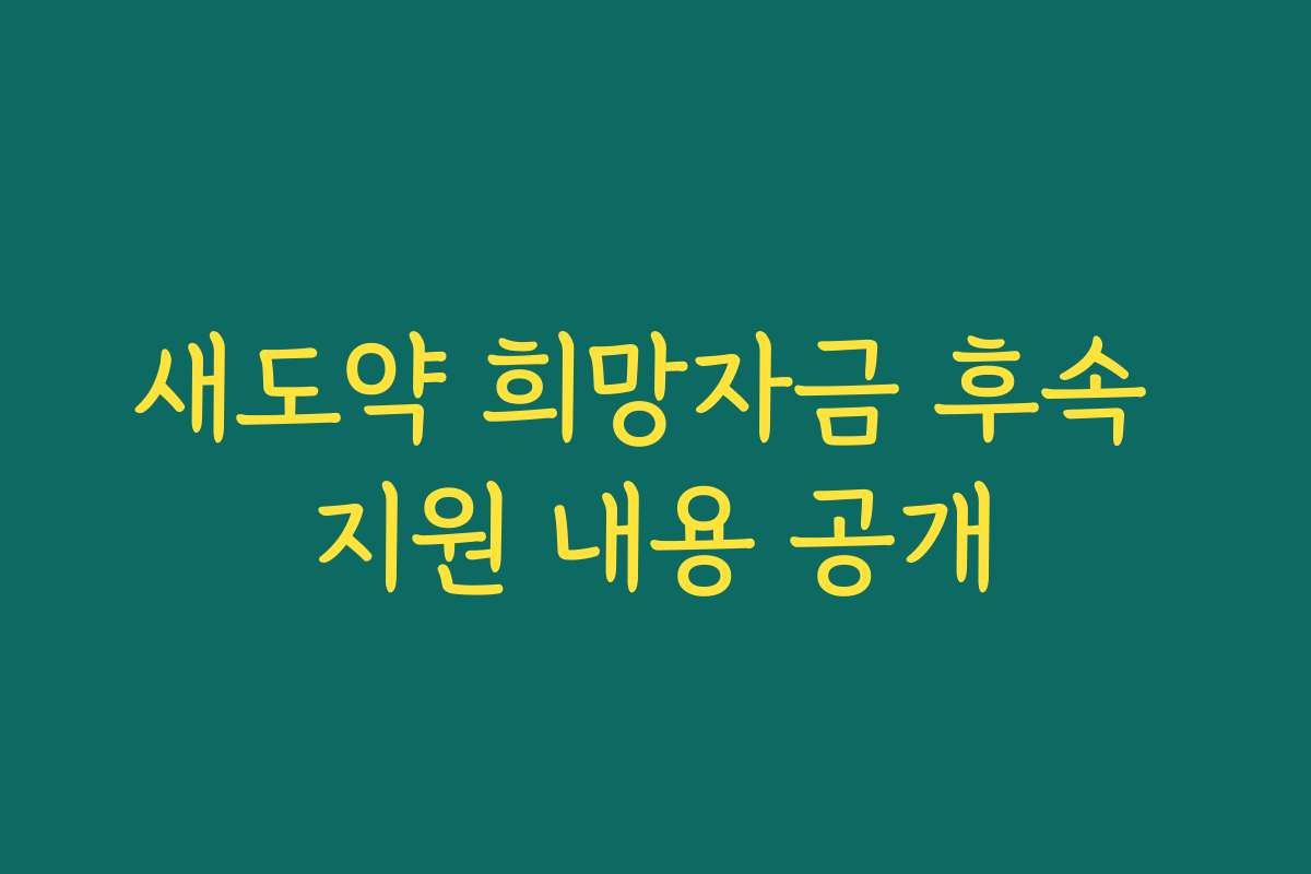 새도약 희망자금 후속 지원 내용 공개