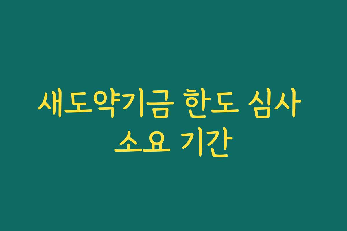 새도약기금 한도 심사 소요 기간