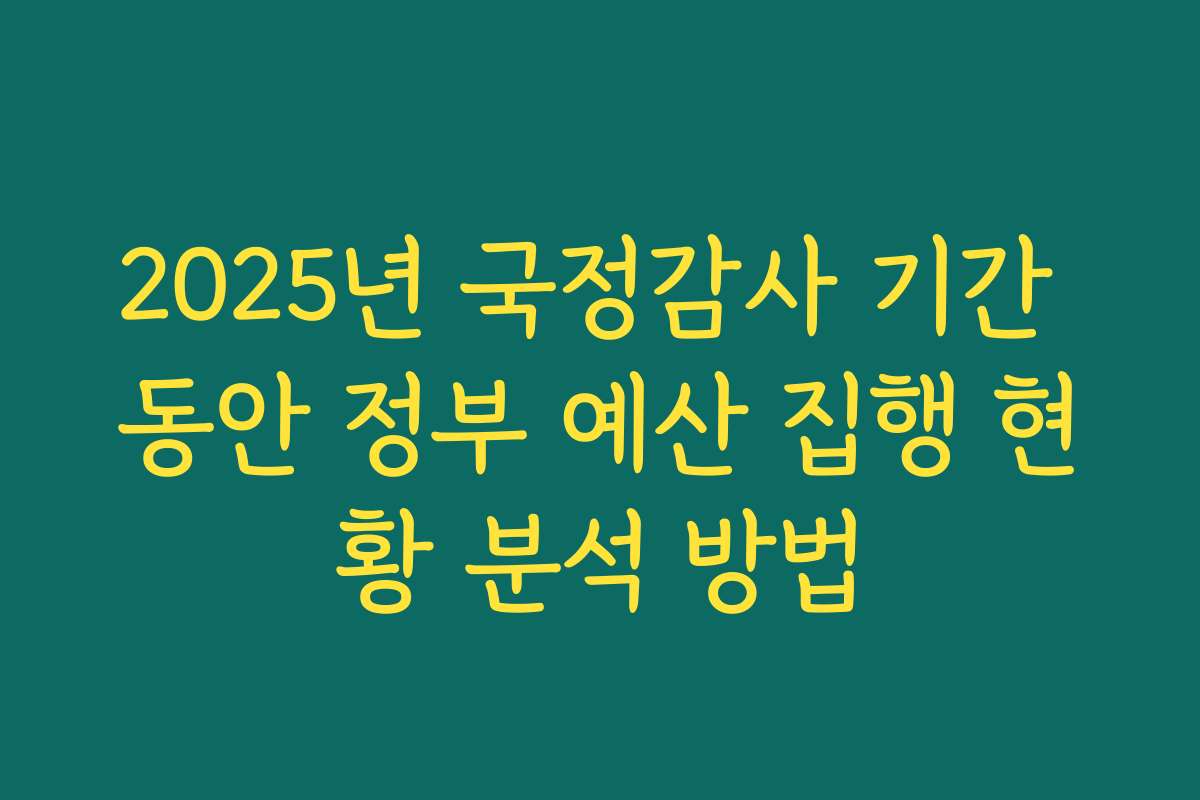 2025년 국정감사 기간 동안 정부 예산 집행 현황 분석 방법