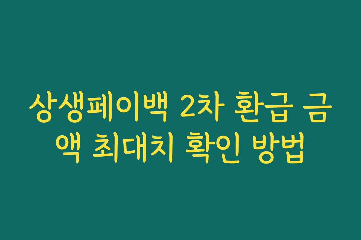 상생페이백 2차 환급 금액 최대치 확인 방법 상생페이백 2차 환급 금액 최대치 확인 방법