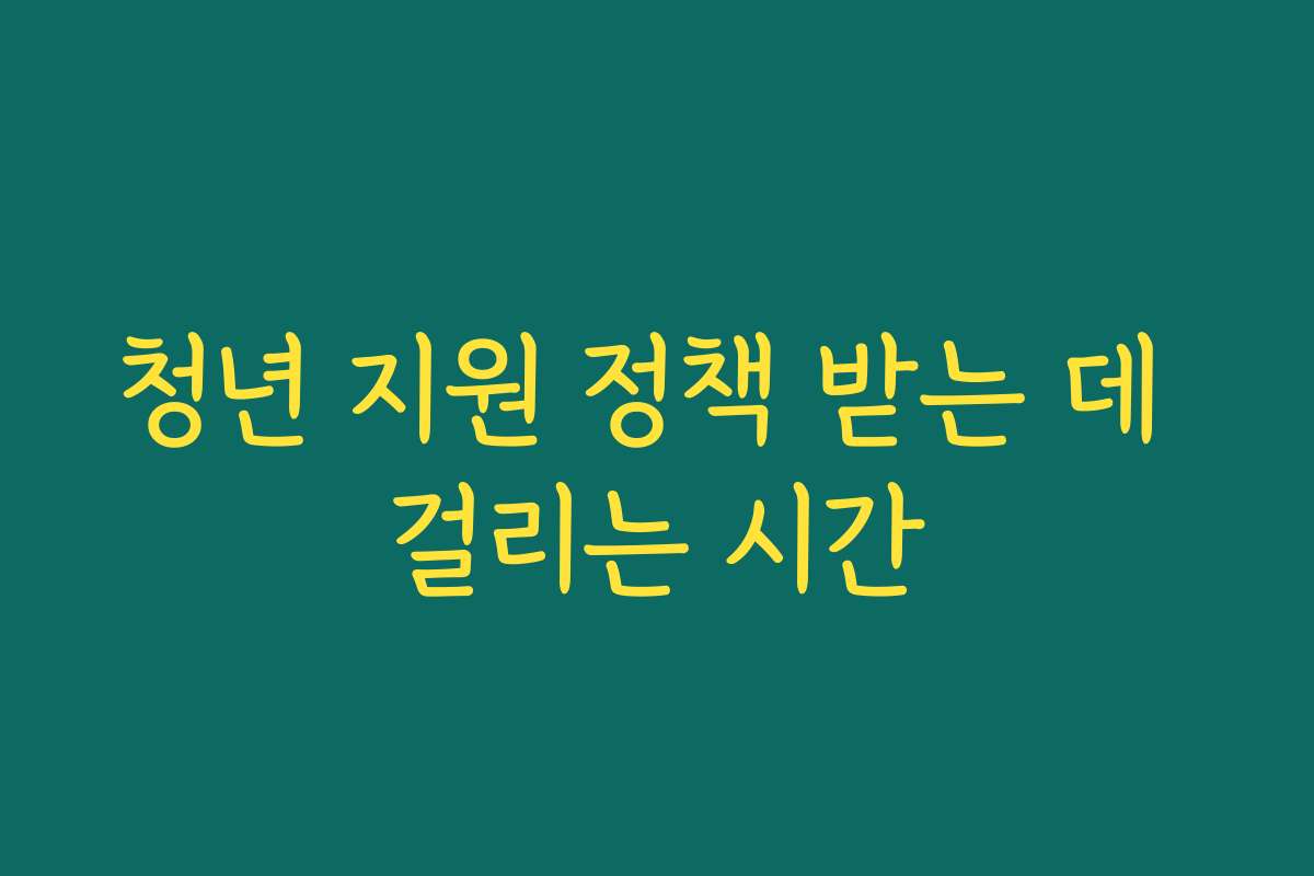 청년 지원 정책 받는 데 걸리는 시간 청년 지원 정책 받는 데 걸리는 시간