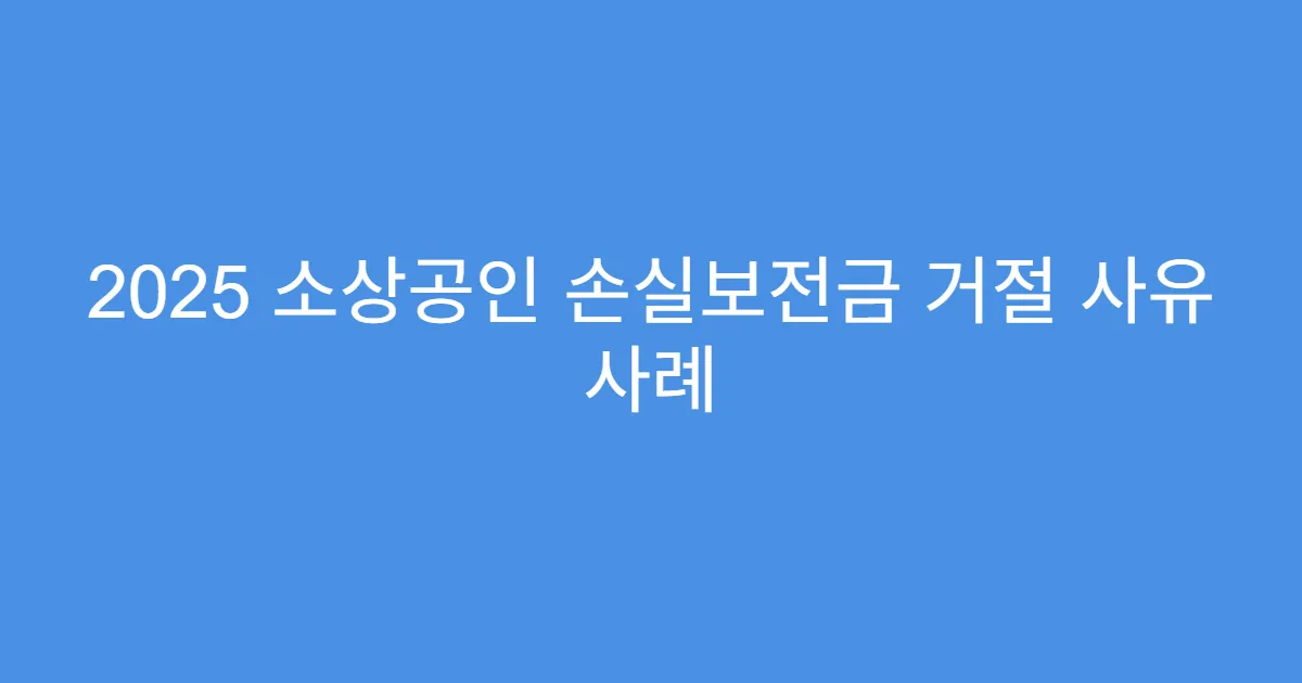 2025 소상공인 손실보전금 거절 사유 사례