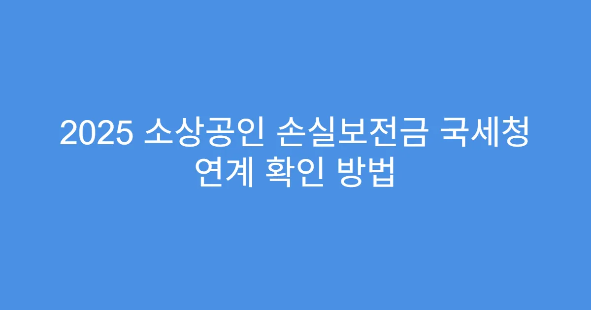 2025 소상공인 손실보전금 국세청 연계 확인 방법