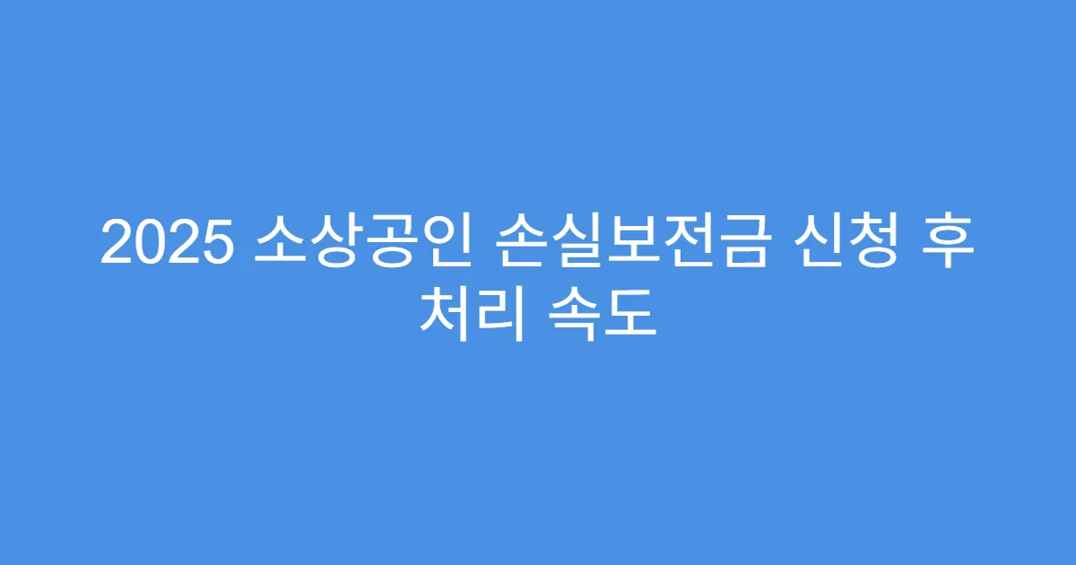 2025 소상공인 손실보전금 신청 후 처리 속도 2025 소상공인 손실보전금 신청 후 처리 속도